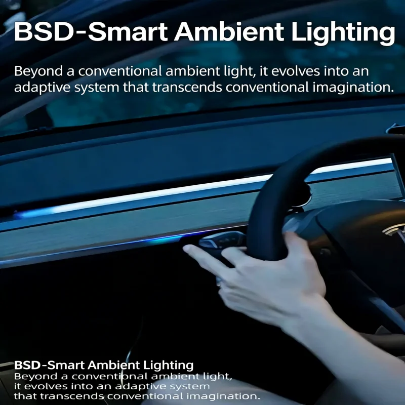 High-Quality BSD Smart Ambient Light for Refreshed Tesla Model 3/Y Auto Accessories