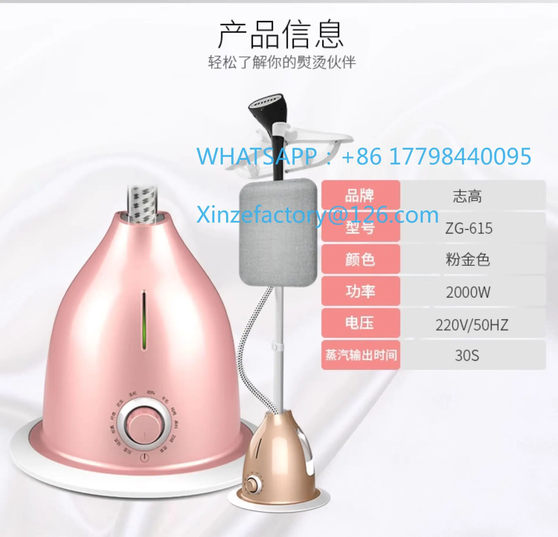 Customizable Steam Hanging Iron Household Iron Small