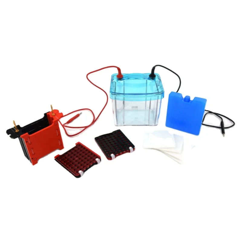 lab industrial electrolytic cell rapid gel electrophoresis equipment for Lab