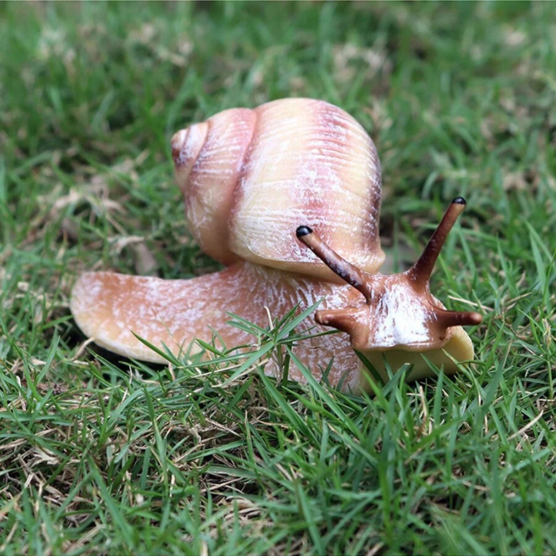 Plastic Model Toys Simulated Animal Growth Cycle Parent-child Education Puzzle Honeybee Turtle Butterfly Frog Ladybug Model TMZ