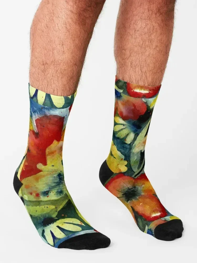 Adrianne Lenker Songs Socks Soccer kids funny gift compression Socks Man Women's