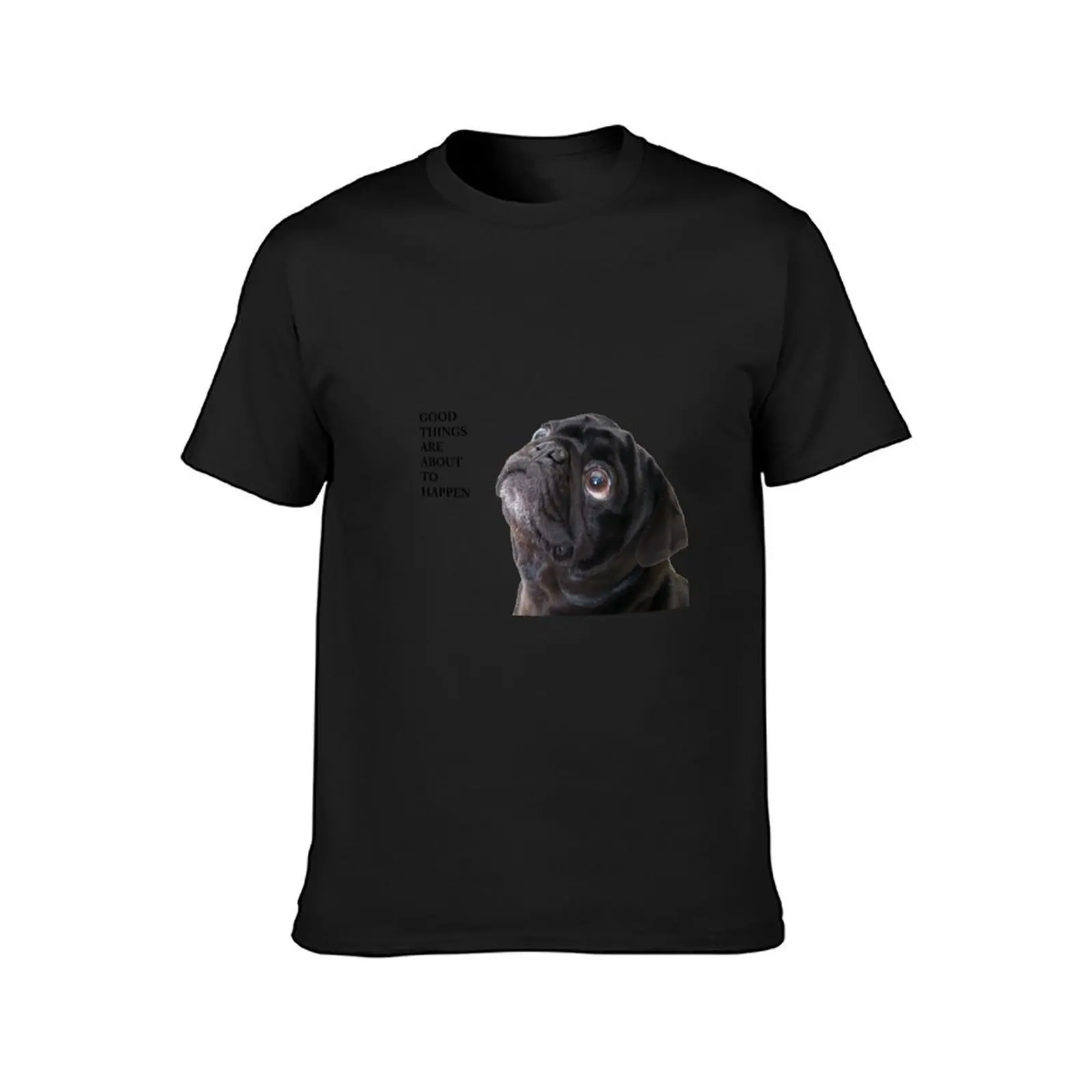 Good things black pug T-Shirt aesthetic clothes Aesthetic clothing for a boy boys animal print plain black t shirts men