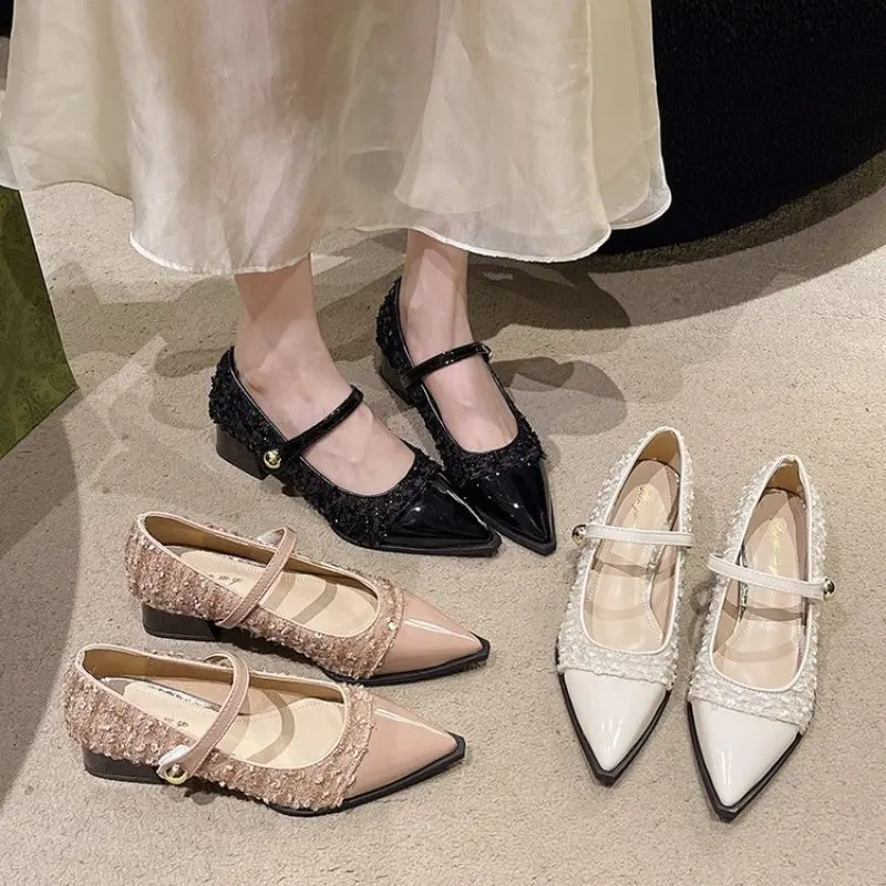 2024 New Designer Spring and Fall Women Mary Jane Shoes Ladies Fashion Pointed Toe Thick Heel Women's Comfort Office Pumps Shoes
