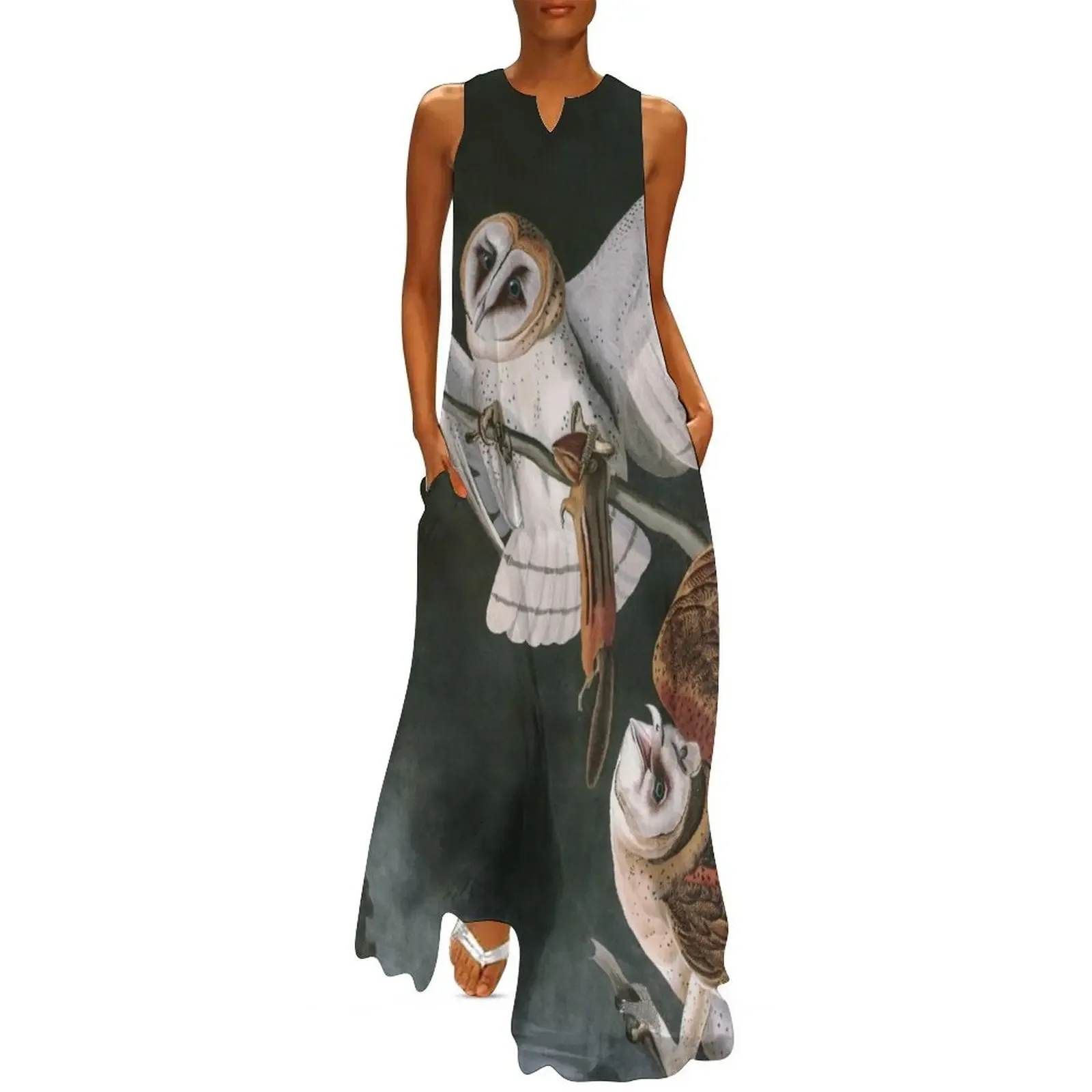 

Barn Owls, the Birds of America by John James Audubon Long Dress dress women summer 2025 luxury dress women party dresses