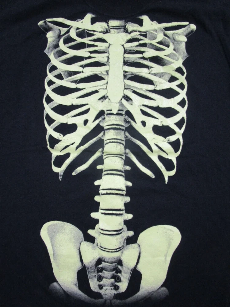 Vintage Glow in the Dark Skeleton T Shirt Graphic (XL) Ribcage & Bones Goth