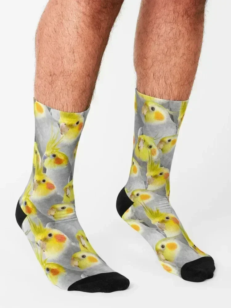 Cockatiel Crowd Pattern Socks cartoon Children's Novelties cotton Girl'S Socks Men's