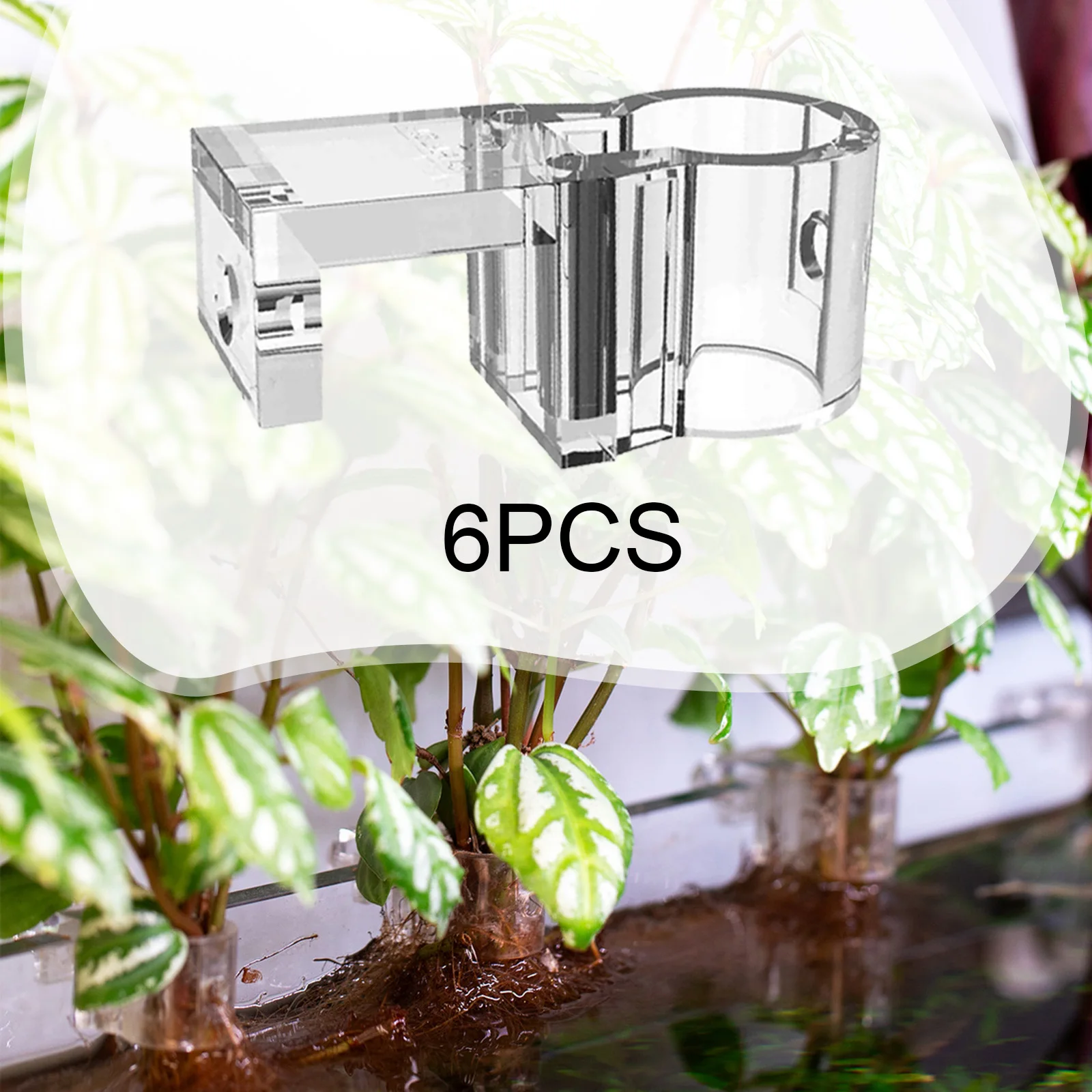 Soporte para plantas de acuario, taza de soporte, Mini maceta para pecera, alimentador de acuario para paisaje acuático, accesorios para acuario, 6 uds.