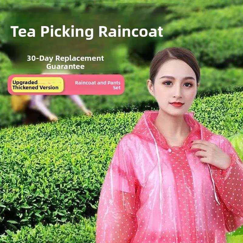 

Women's Thickened Tea Picking Special Raincoat And Rain Pants Set Adult Outdoor Workwear Separate Design Durable Rain Gear
