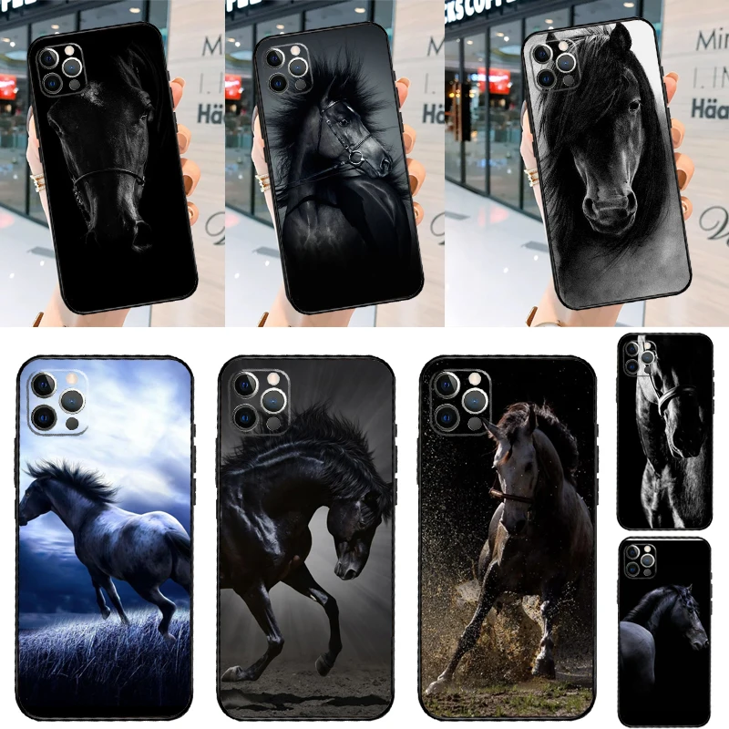 Dark Black Horse Ca… - image