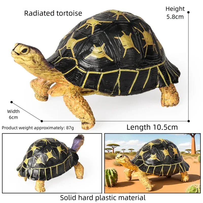 Oenux Simulations-Schildkröten-Set: Alligator, Galapagos-Schildkröte, Chinesische Weichschildkröte Figuren und Puppen – Detail 16