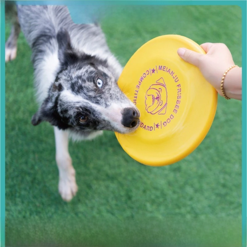 OUZEY Standard Competition Dogs Flying Disc Toy Bite Resistant Interactive Pet Training  Toy Outdoor Floating Throwing Toy