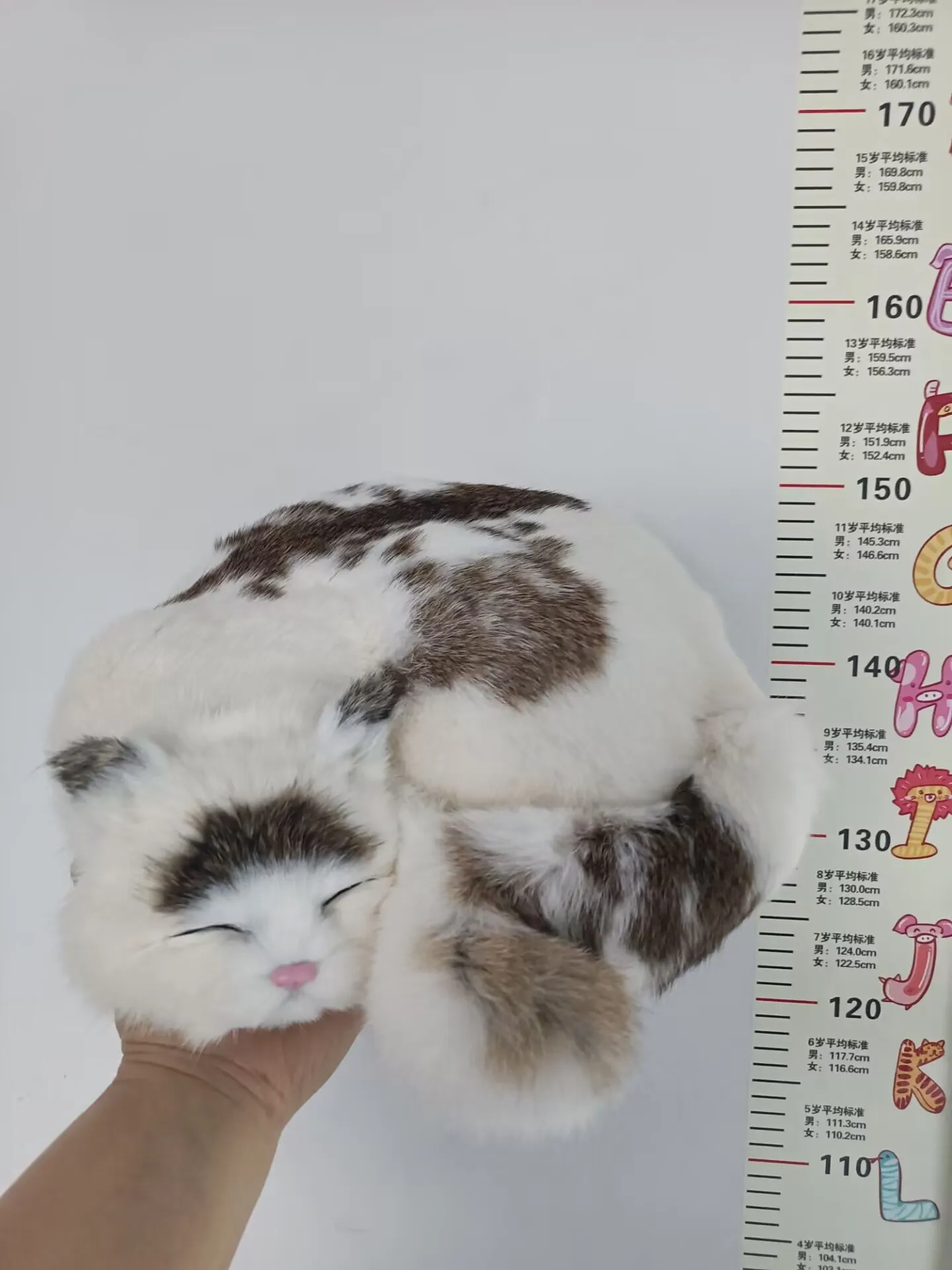 big simulation plastic&fur handmade natural color cat model home decoration about 31x30cm T02000
