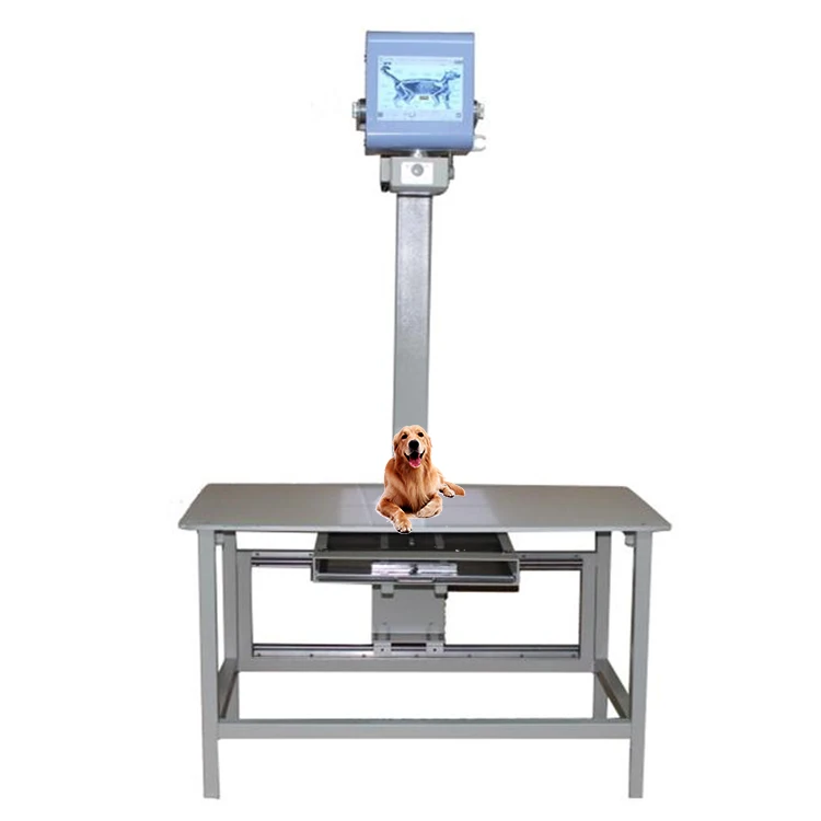 MY-W004-2 Pet Clinic diagnosis equipment 4.0kW/60mA Portable Veterinary x-ray machine with table