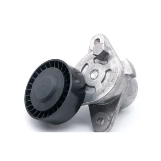 

Натяжной ролик генератора для автомобильных запчастей 24106700