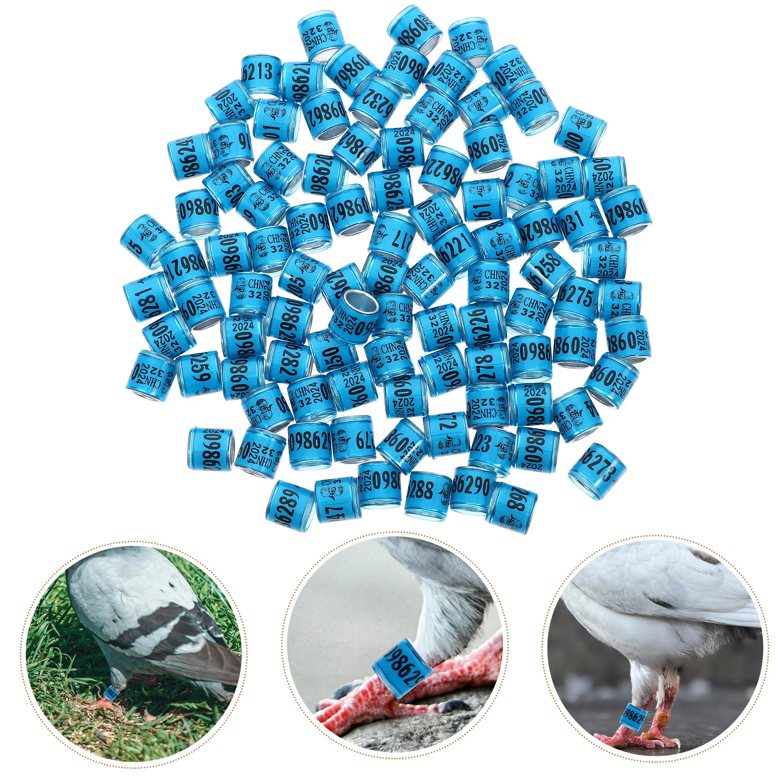

100 Pcs Pigeon Leg Bands Pigeons Poultry for Chickens Bracelet Training Bird Foot Ring Numbered Rings Where