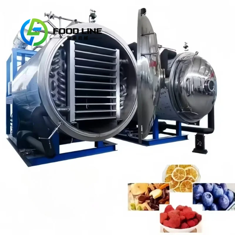 Vacuum Freeze Dryer Large Capacity Tray Frame Supports Batch Lyophilization For Medium Scale Food Factory Production Lines