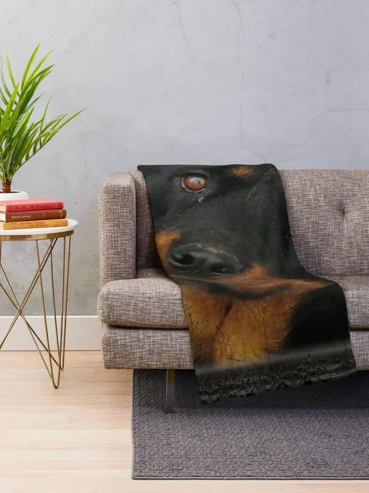 Rottweiler Throw Blanket warm winter Polar christmas gifts Blankets