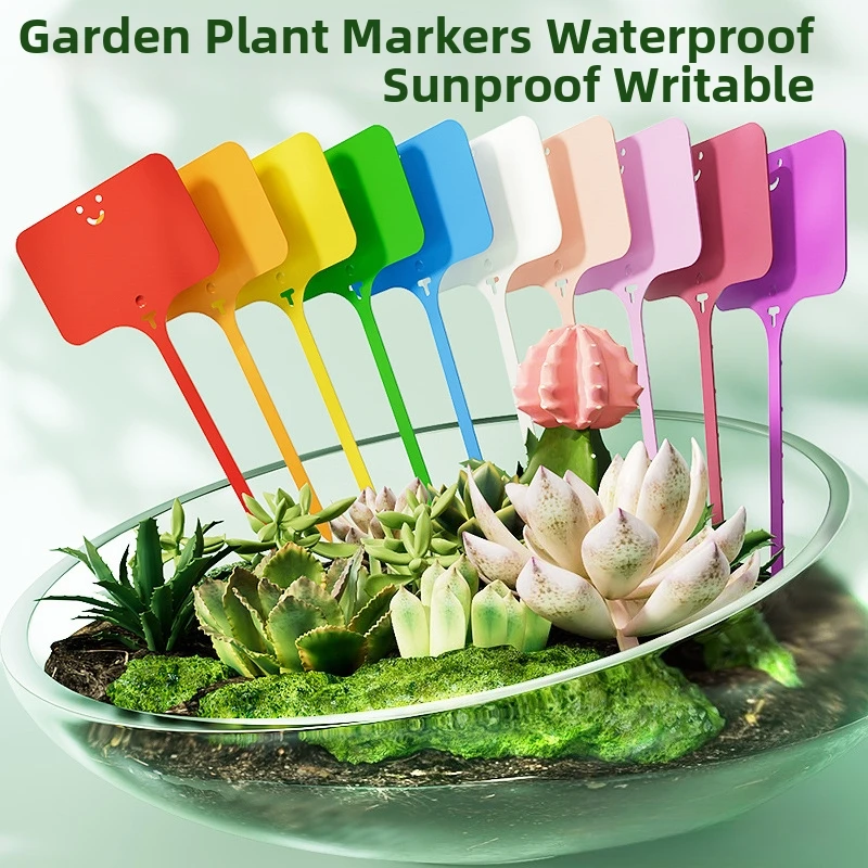 Bonsai Garden Ticket - 500 STUKS Tuinplantenlabels Marker Kleurrijke Classificatie