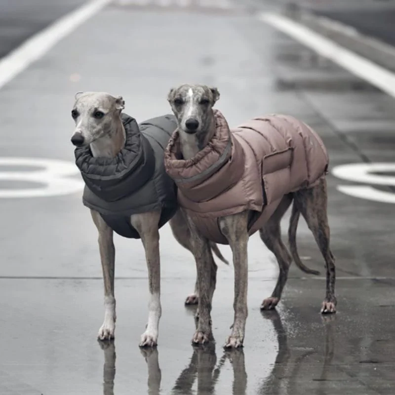 Medium and Large Dog Clothes Waterproof Windproof Warm Dog Jacket Doberman Whitbit Greyhound Clothes Dog Coats Dog Costume