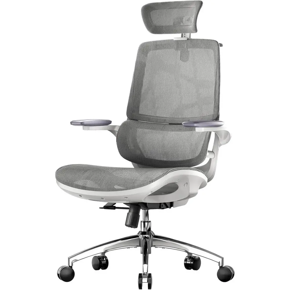 

Ergonomic Office Chair with 3D Adjustable Armrests, Dual-Back Design and Lumbar Support, Grey