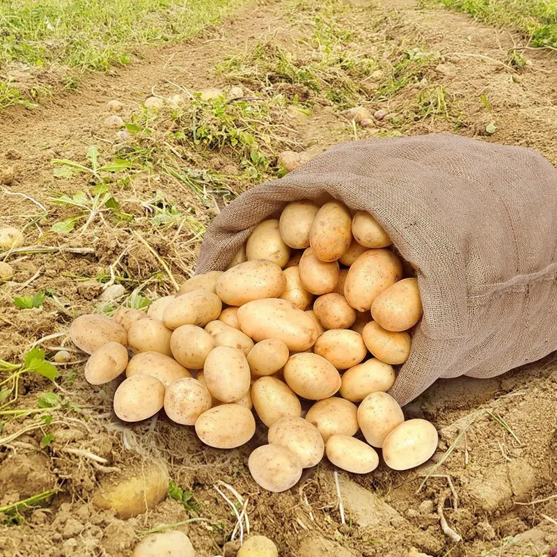 4 шт. сверхпрочные большие мешки из мешковины коричневые 40X24 дюйма утолщенные с веревками 32,8 фута, многоразовые мешки для картофеля