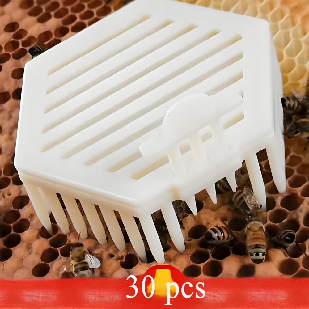 30PCS Queen Hexagonal Needle Intruduction Cages Press In Against Comb Isolation On Honeycomb Inspection Catcher Apiculture Tools