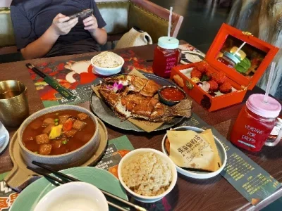 

MJX Hyper Go 14301 14302 14303 1/14 high speed RC cars spare parts original body shell