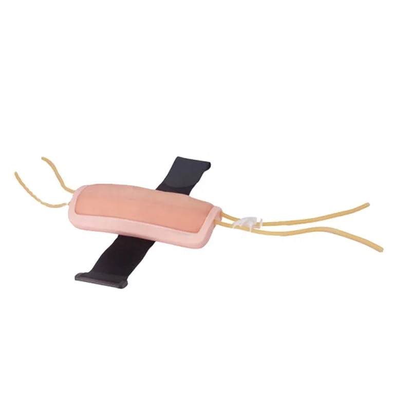 Advanced Forearm Venipuncture Model Medical Science Wearable PVC for Training in Schools Hospitals
