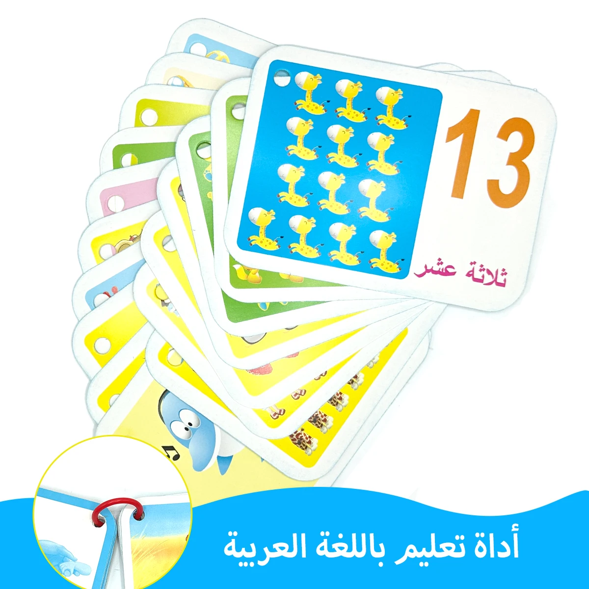 Kids Education Words - Cartões educativos com imagens de animais