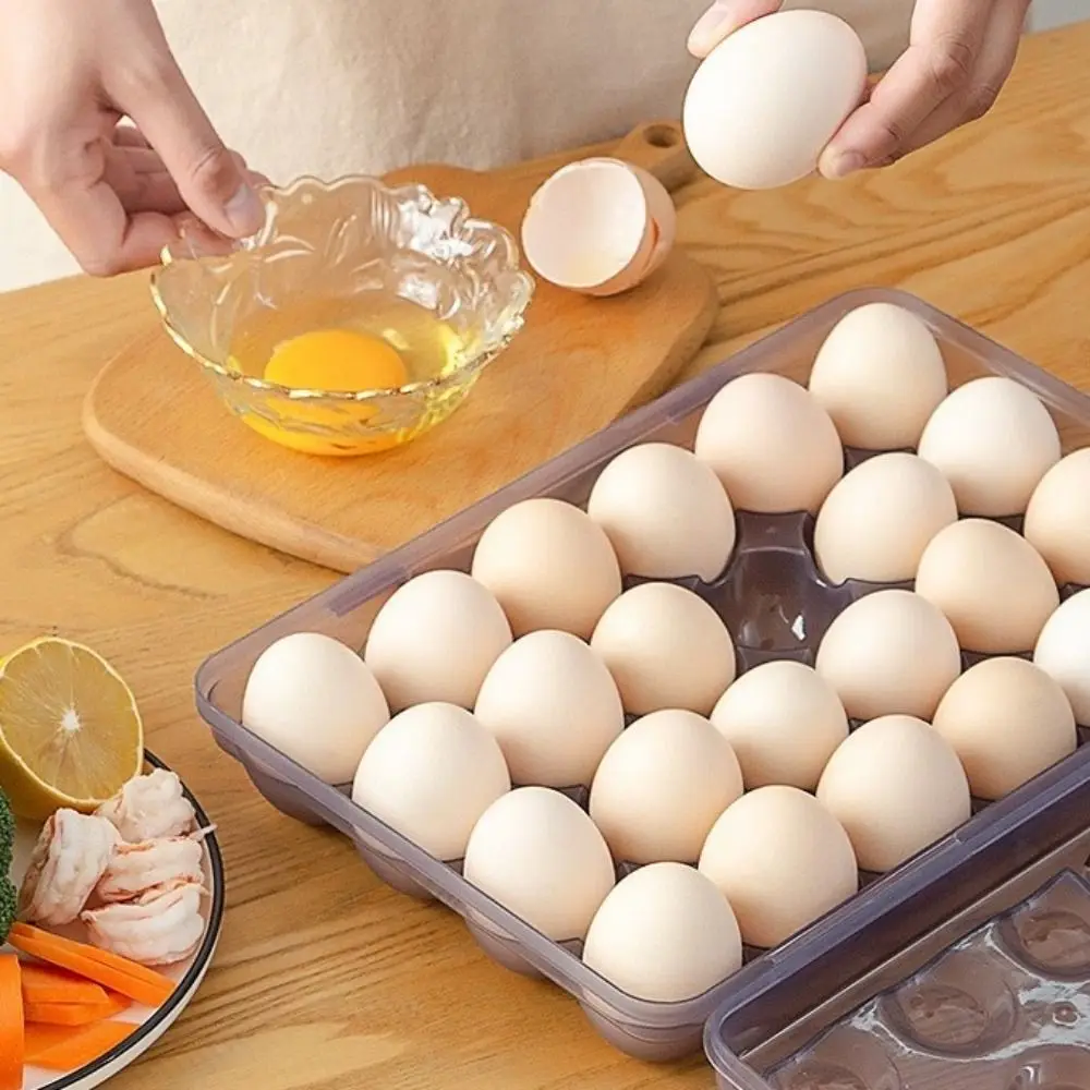 Multipurpose Plastic Egg Storage Box 6/15/24 Grids Space Saving Egg Tray with Lid Anti-collision Egg Protector for Kitchen