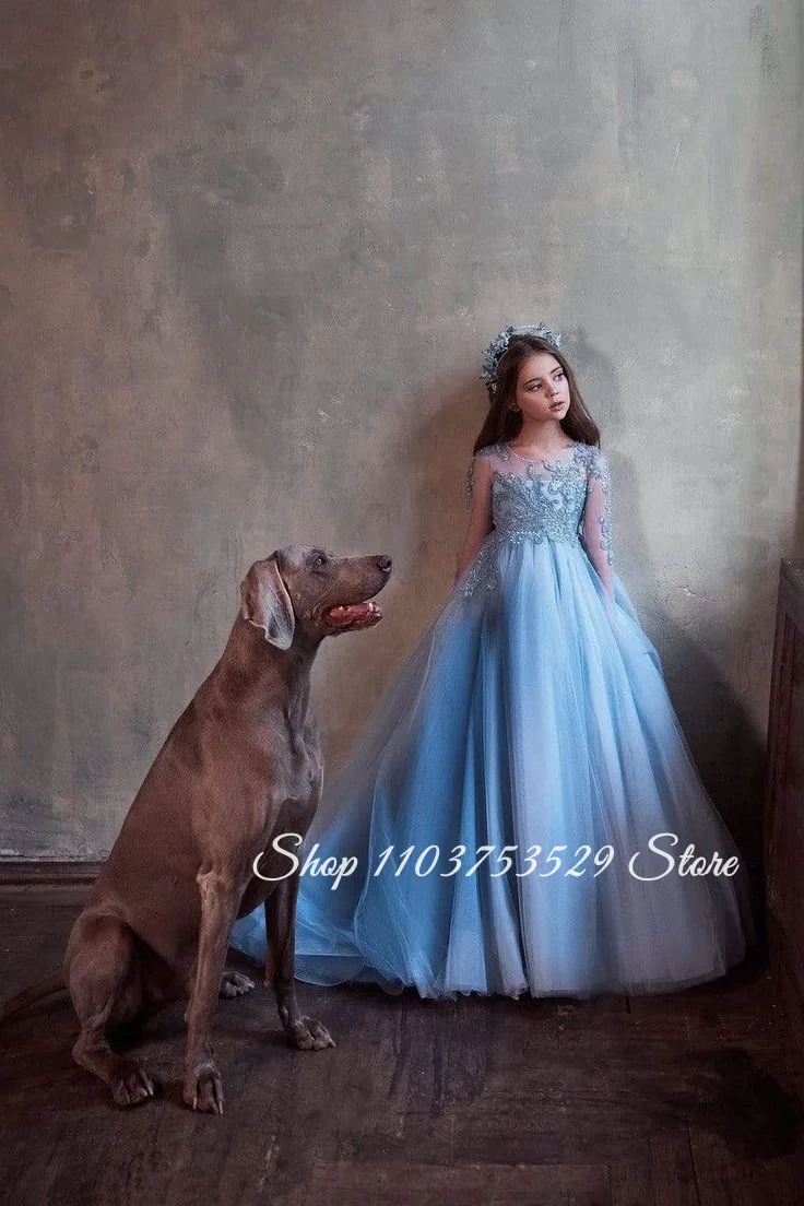 Custom Sky Blue Flower Girl Dress Floral Print with Crystal Beading Formal Occasion Dress Birthday Party Dress Flower Girl Dress