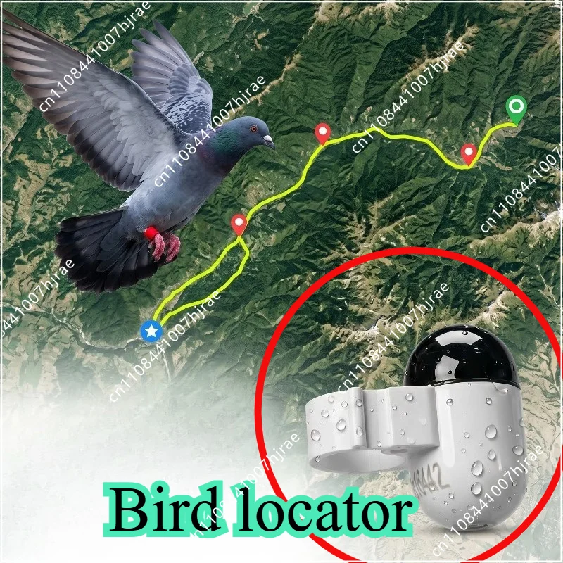 Pigeon Map Locator 2.2g Route Planning Checkpoint Interval GPS Ring Device for Pigeon Mapping