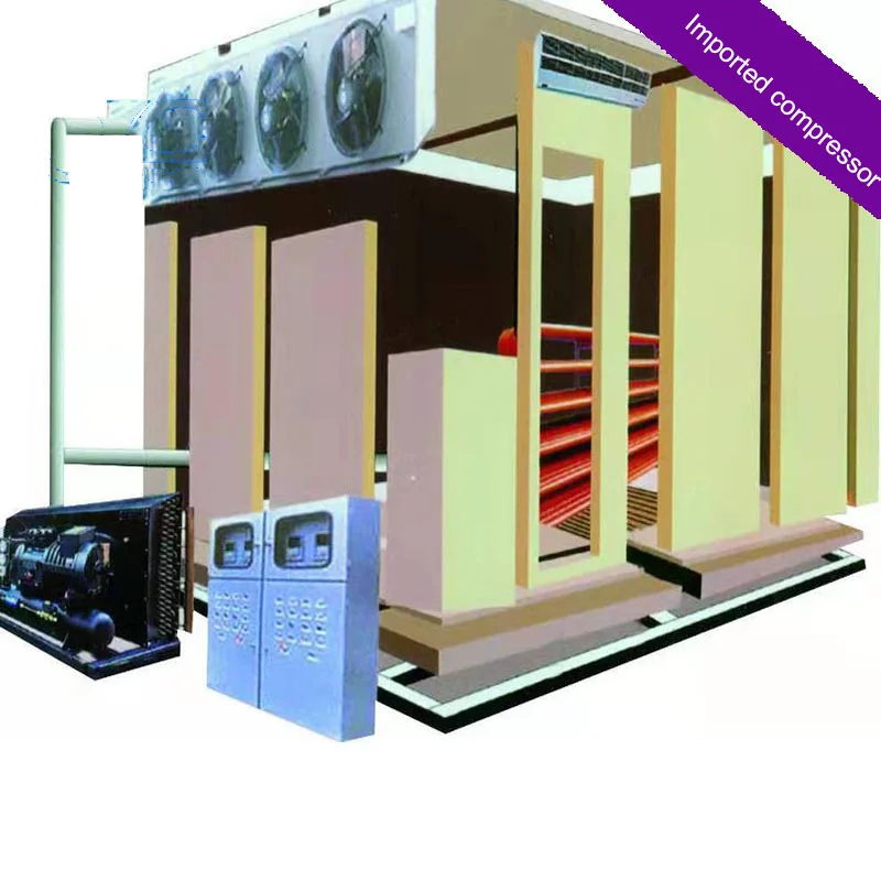 Cold Storage Meat Freezer Low-temperature Cold Storage Professional Cold Freezing Rooms