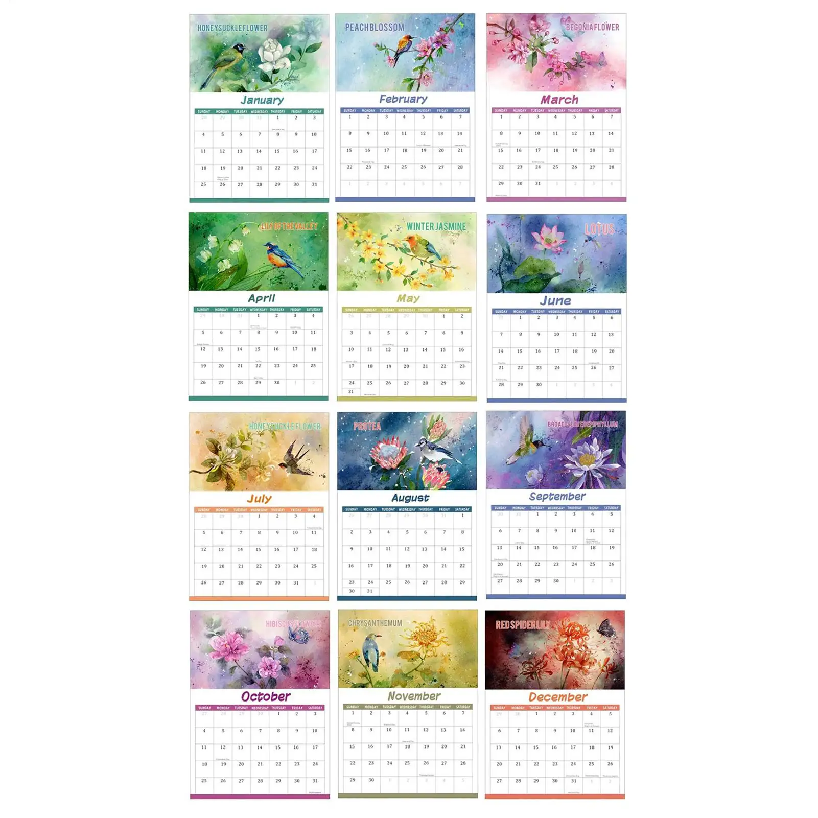 

2026 Rare Bird Calendar Bird Lovers 12-Month Planning Scheduling Wall Calendar Artistic Design Nature Wildflower Calendar