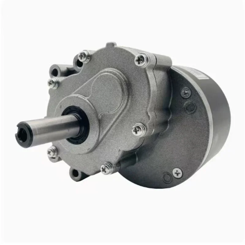 1 قطعة 24V250W 75/120 دورة في الدقيقة تيار مستمر نحى منخفضة السرعة التخفيض الثانوي مركبة كهربية كرسي متحرك المحرك 44 مللي متر عمود أطول 0.64/0.98N.m