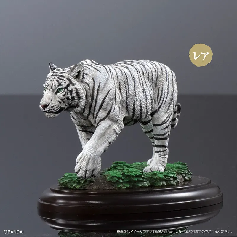 Bandai Gashapon Wild Felid Miniature Display Model Bengal Tiger White Tiger Snow Leopard Pallas Cat Collection Desktop Ornament