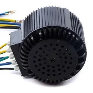 

10KW Brushless PMSM BLDC Motor Electric Motorcycle Motor Electric Car Motor