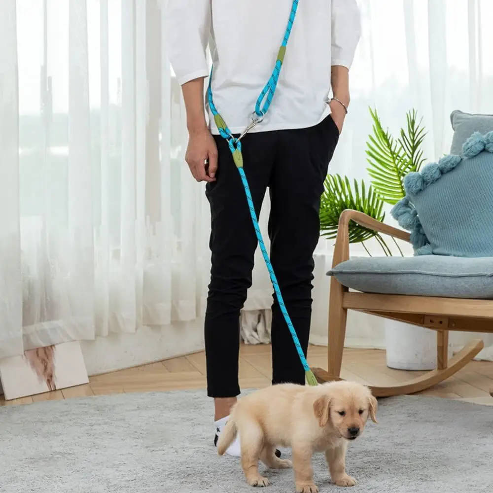 Dual/Double Dog Leash with Elastic Rope, Anti-Burst and Anti-Break, Pet Supplies, Suitable for Running with Your Dog, Features Dual Hook Design and Dual-Purpose Training Leash, Suitable for Small, Medium, and Large Dogs