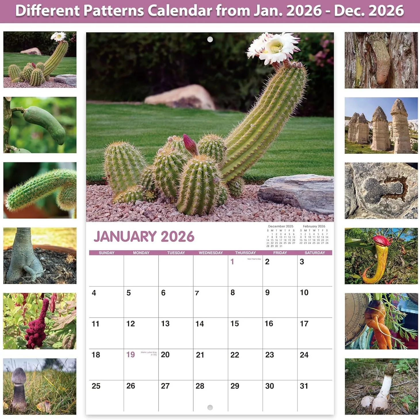 2026 Wall Calendar Funny Cactus Calendar Humorous Planner for Visual Display Scheduling Time Management Reference image 4