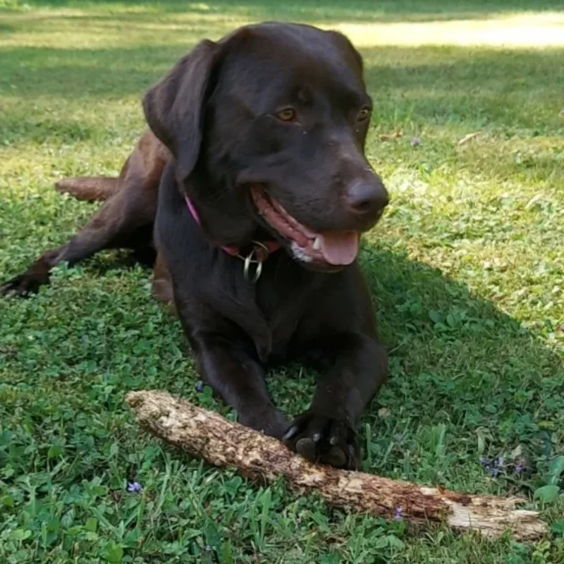 تي شيرت فضفاض مخصص للرجال مع صورة، أضف صورتك ونصك لتصميم هدية مخصصة #2