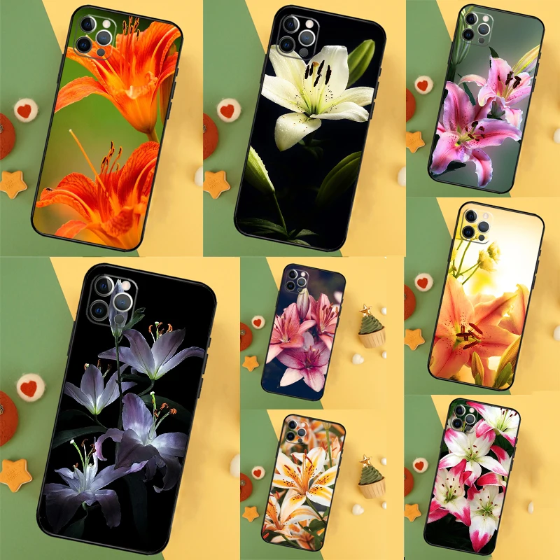 Colorful Flower Lil… - image