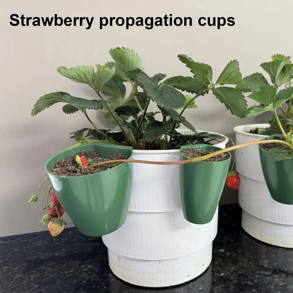 Strawberry Propagation Cups Ventilated Strawberry Plant Starter Cups with And Runner Forks Propagation Containers for Promoting