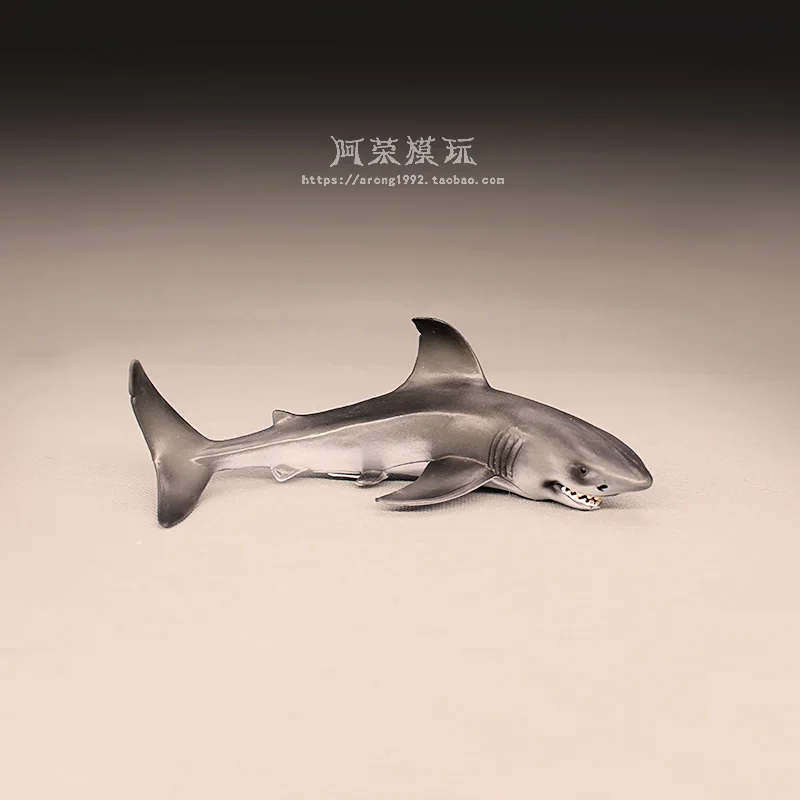 Simulazione cognitiva Modelli di animali marini Squalo a testa di martello Squalo blu Squalo balena Action Figures Accessori per ornamenti in miniatura