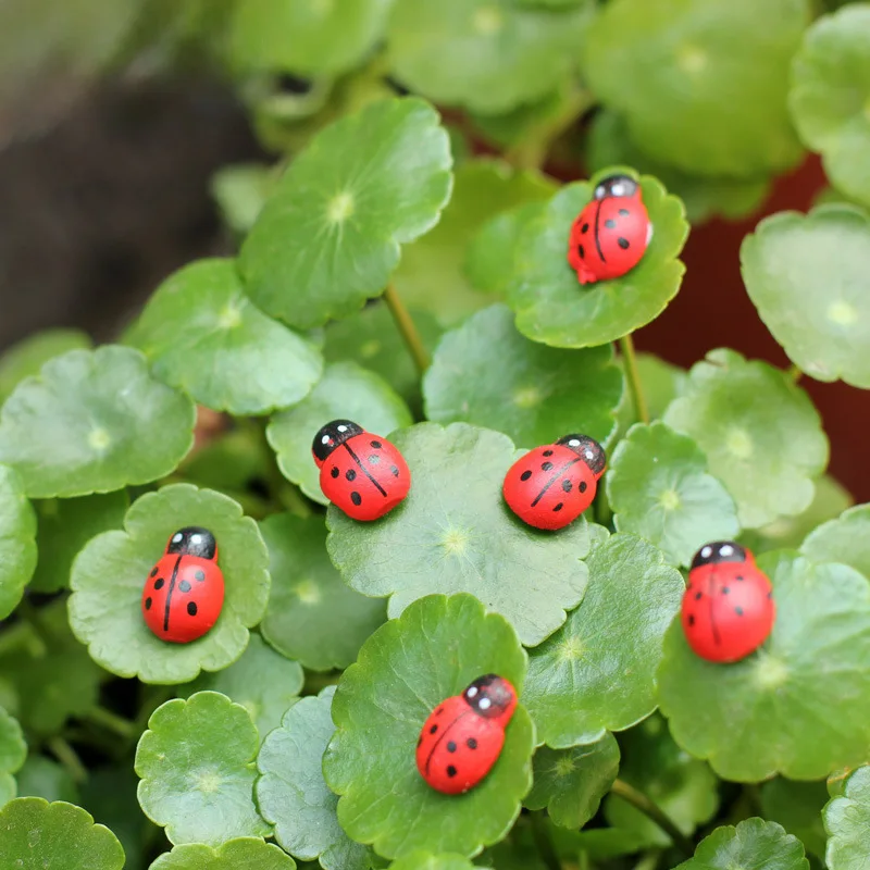 Micro-landscape ornaments Wooden craftsmanship,Beetle seven-star ladybug Hayao Miyazaki DIY accessories,10 green leaf fish tanks