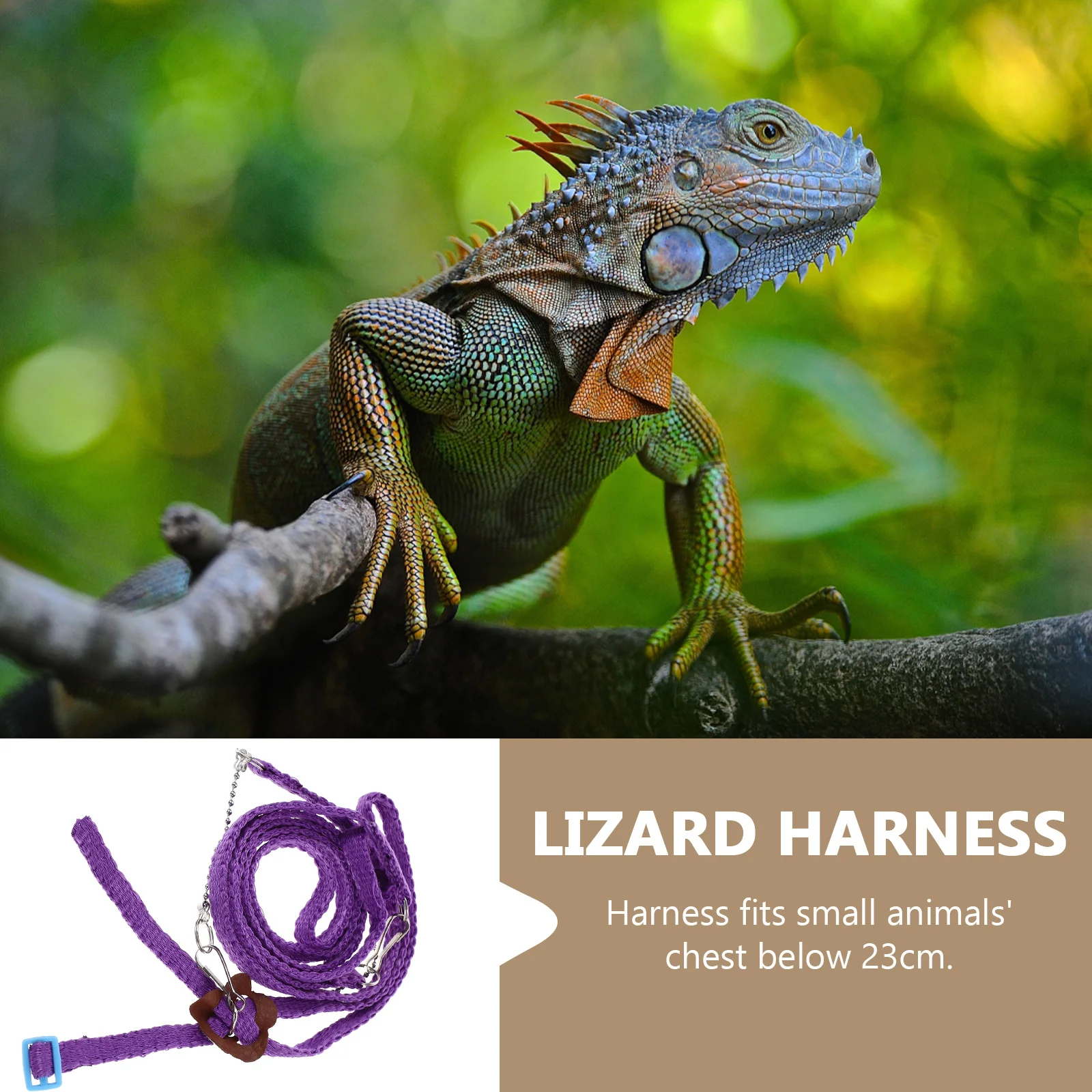 

Adjustable 1.2m Reptile Lizard Harness Leash Durable Nylon Metal Clasp Outdoor Walking Training Harness Lizard Leash