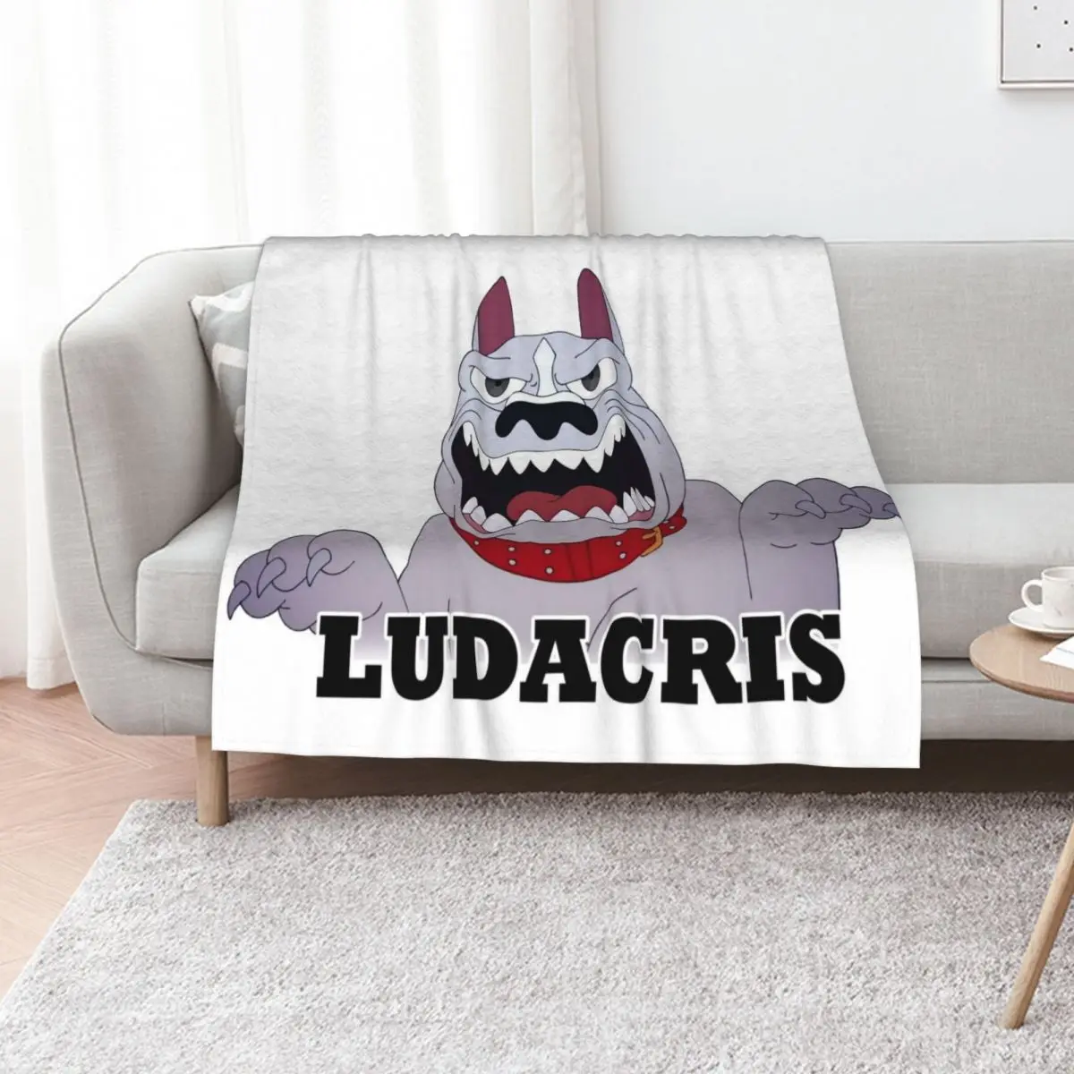 BIG MOUTH Featuring Ludacris Pitbull Throw Blanket Custom Cute Soft Soft Big Softest christmas decoration Blankets
