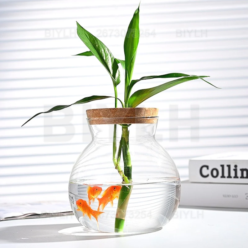 Hydroponic Plant Glass Vase With Cork Lid Home Decor Transparent Plant Pot Garden Accessories Micro-landscape Ecological Bottle - view 6