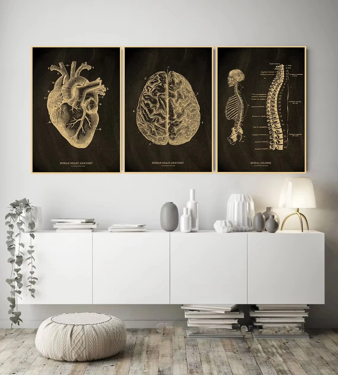 Vintage Anatomical Skeleton Wall Art-Heart,Skull,and Brain Kraft Paper Poster for Medical Home Decor;Stylish Chalkboard Desig