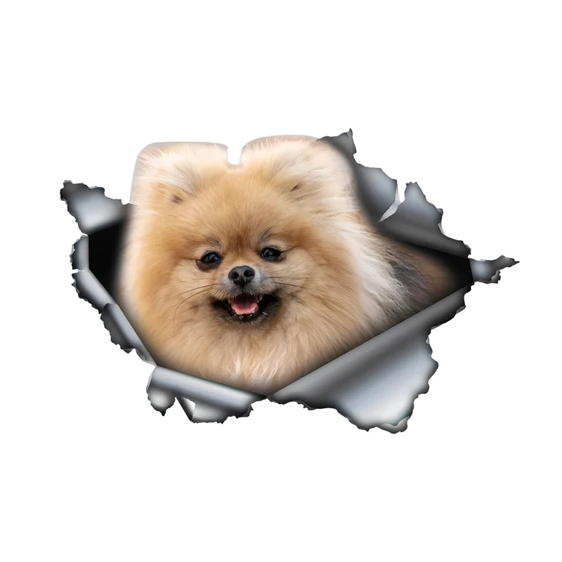 

DK534# Cute Pom Car Stickers Scratch Blocking Self-Adhesive Waterproof Decal, Used for Car, Laptop, Motorcycle, Van, RV