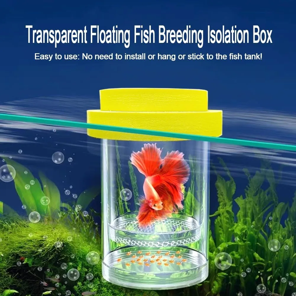 Thumbnail 2 - #68 Compare Fish Feeders Before You Buy